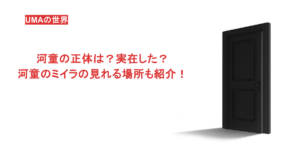 河童の正体は？実在した？河童のミイラの見れる場所も紹介！