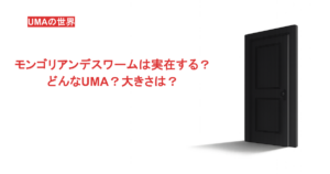 モンゴリアンデスワームは実在する？どんなUMA？大きさは？