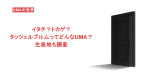 イタチ？トカゲ？タッツェルブルムってどんなUMA？生息地も調査