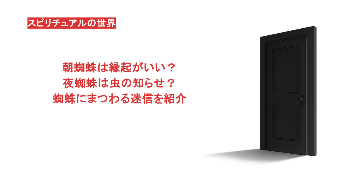 朝蜘蛛は縁起がいい?夜蜘蛛は虫の知らせ?蜘蛛にまつわる迷信を紹介
