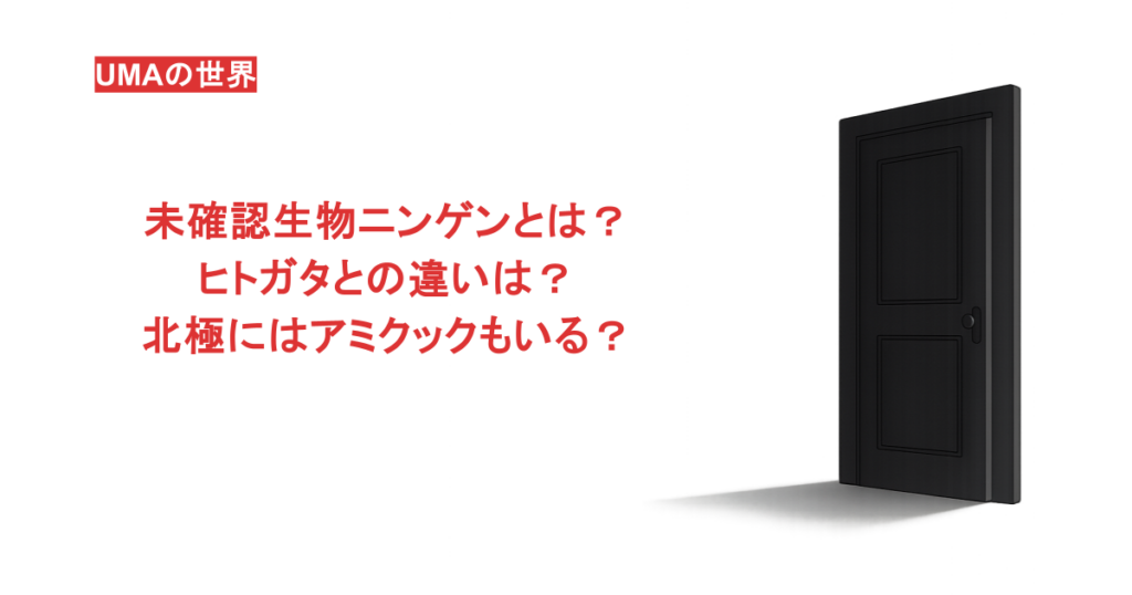 未確認生物ニンゲンとは?ヒトガタとの違いは?北極にはアミクックもいる?
